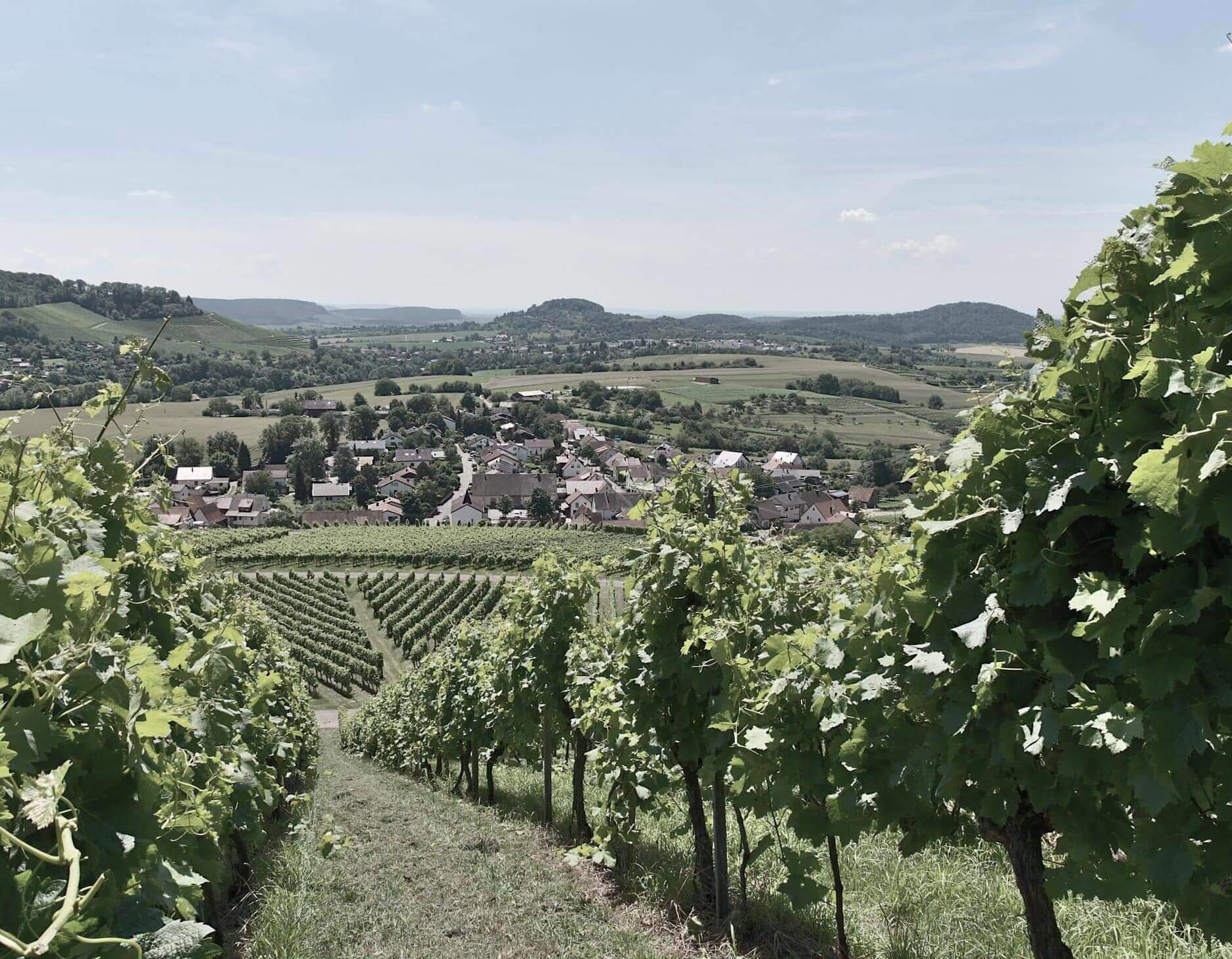 Zona Ambiental de Ilsfeld